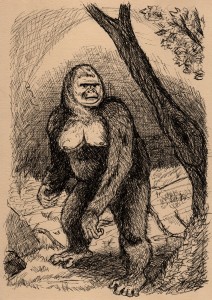 Gorilla